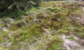 /album/fotogaleria/imag0759-jpg/